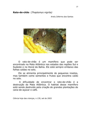 Animais em extinção