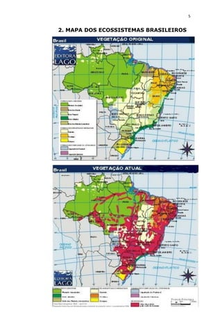 Animais em extinção