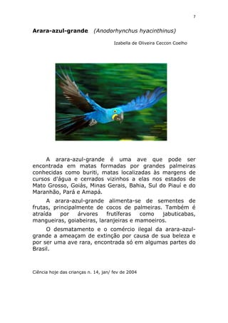 Animais em extinção