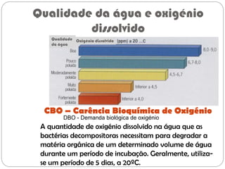 Qualidade da água e oxigénio
dissolvido
CBO – Carência Bioquímica de Oxigénio
A quantidade de oxigénio dissolvido na água que as
bactérias decompositoras necessitam para degradar a
matéria orgânica de um determinado volume de água
durante um período de incubação. Geralmente, utiliza-
se um período de 5 dias, a 20ºC.
Qualidade
da água
Oxigénio dissolvido
DBO - Demanda biológica de oxigénio
 