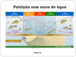 Poluição num curso de água
Página 93
 