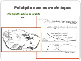 Carência Bioquímica de oxigénio
CBO
Poluição num curso de água
 