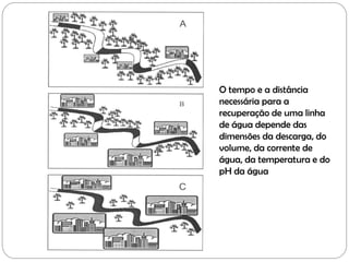 O tempo e a distância
necessária para a
recuperação de uma linha
de água depende das
dimensões da descarga, do
volume, da corrente de
água, da temperatura e do
pH da água
 