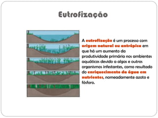Eutrofização
A eutrofização é um processo com
origem natural ou antrópica em
que há um aumento da
produtividade primária nos ambientes
aquáticos devido a algas e outros
organismos infestantes, como resultado
do enriquecimento da água em
nutrientes, nomeadamente azoto e
fósforo.
 