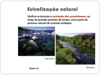 Eutrofização natural
Verifica-se durante a evolução dos ecossistemas, ao
longo de grandes períodos de tempo, como parte do
processo natural de sucessão ecológica.
Página 94
 