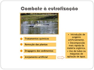 Combate à eutrofização
 