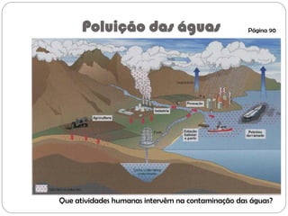 Poluição das águas
Que atividades humanas intervêm na contaminação das águas?
Página 90
 