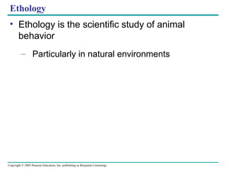 Ethology Ethology is the scientific study of animal behavior Particularly in natural environments 