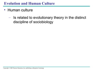 Evolution and Human Culture Human culture Is related to evolutionary theory in the distinct discipline of sociobiology 
