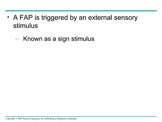 A FAP is triggered by an external sensory stimulus Known as a sign stimulus 