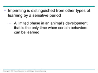 Imprinting is distinguished from other types of learning by a sensitive period A limited phase in an animal’s development that is the only time when certain behaviors can be learned 