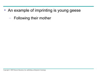 An example of imprinting is young geese Following their mother 