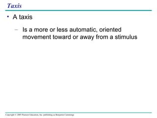 Taxis A taxis Is a more or less automatic, oriented movement toward or away from a stimulus 