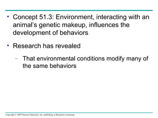 Concept 51.3: Environment, interacting with an animal’s genetic makeup, influences the development of behaviors Research has revealed That environmental conditions modify many of the same behaviors 
