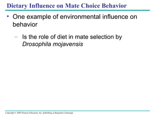 Dietary Influence on Mate Choice Behavior One example of environmental influence on behavior Is the role of diet in mate selection by  Drosophila mojavensis 