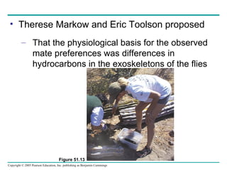 Therese Markow and Eric Toolson proposed That the physiological basis for the observed mate preferences was differences in hydrocarbons in the exoskeletons of the flies Figure 51.13 