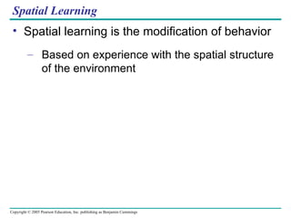 Spatial Learning Spatial learning is the modification of behavior Based on experience with the spatial structure of the environment 
