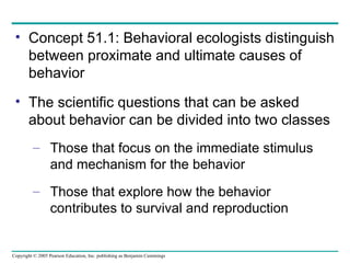 Concept 51.1: Behavioral ecologists distinguish between proximate and ultimate causes of behavior The scientific questions that can be asked about behavior can be divided into two classes Those that focus on the immediate stimulus and mechanism for the behavior Those that explore how the behavior contributes to survival and reproduction 