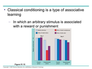 Classical conditioning is a type of associative learning In which an arbitrary stimulus is associated with a reward or punishment Figure 51.15 Before stimulus Influx of water alone Influx of alarm substances Influx of pike odor Day 1 Day 3 Control group Control group Experimental group Experimental  group Relative activity level 