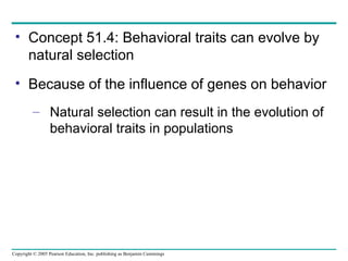 Concept 51.4: Behavioral traits can evolve by natural selection Because of the influence of genes on behavior Natural selection can result in the evolution of behavioral traits in populations 