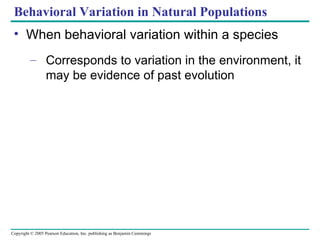 Behavioral Variation in Natural Populations When behavioral variation within a species  Corresponds to variation in the environment, it may be evidence of past evolution 