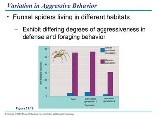 Variation in Aggressive Behavior Funnel spiders living in different habitats Exhibit differing degrees of aggressiveness in defense and foraging behavior Figure 51.19 60 Population 50 40 30 20 10 0 Time to attack (seconds) Field Lab-raised  generation 1 Lab-raised  generation 2 Desert  grassland population Riparian population 