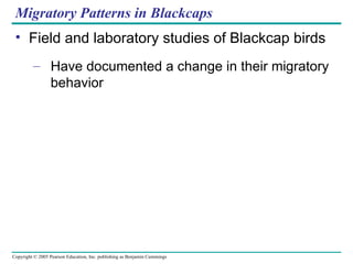 Migratory Patterns in Blackcaps Field and laboratory studies of Blackcap birds Have documented a change in their migratory behavior 