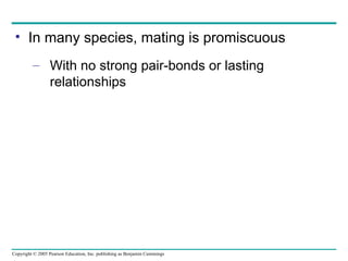 In many species, mating is promiscuous With no strong pair-bonds or lasting relationships 