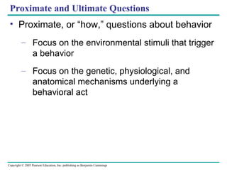 Proximate and Ultimate Questions Proximate, or “how,” questions about behavior Focus on the environmental stimuli that trigger a behavior Focus on the genetic, physiological, and anatomical mechanisms underlying a behavioral act 