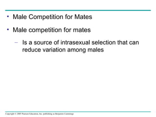 Male Competition for Mates  Male competition for mates Is a source of intrasexual selection that can reduce variation among males 
