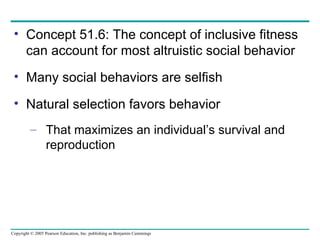 Concept 51.6: The concept of inclusive fitness can account for most altruistic social behavior Many social behaviors are selfish Natural selection favors behavior That maximizes an individual’s survival and reproduction 