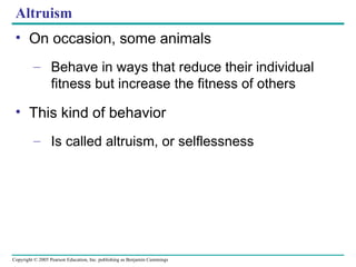 Altruism On occasion, some animals Behave in ways that reduce their individual fitness but increase the fitness of others This kind of behavior Is called altruism, or selflessness 
