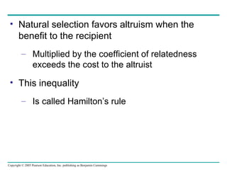 Natural selection favors altruism when the benefit to the recipient Multiplied by the coefficient of relatedness exceeds the cost to the altruist This inequality Is called Hamilton’s rule 