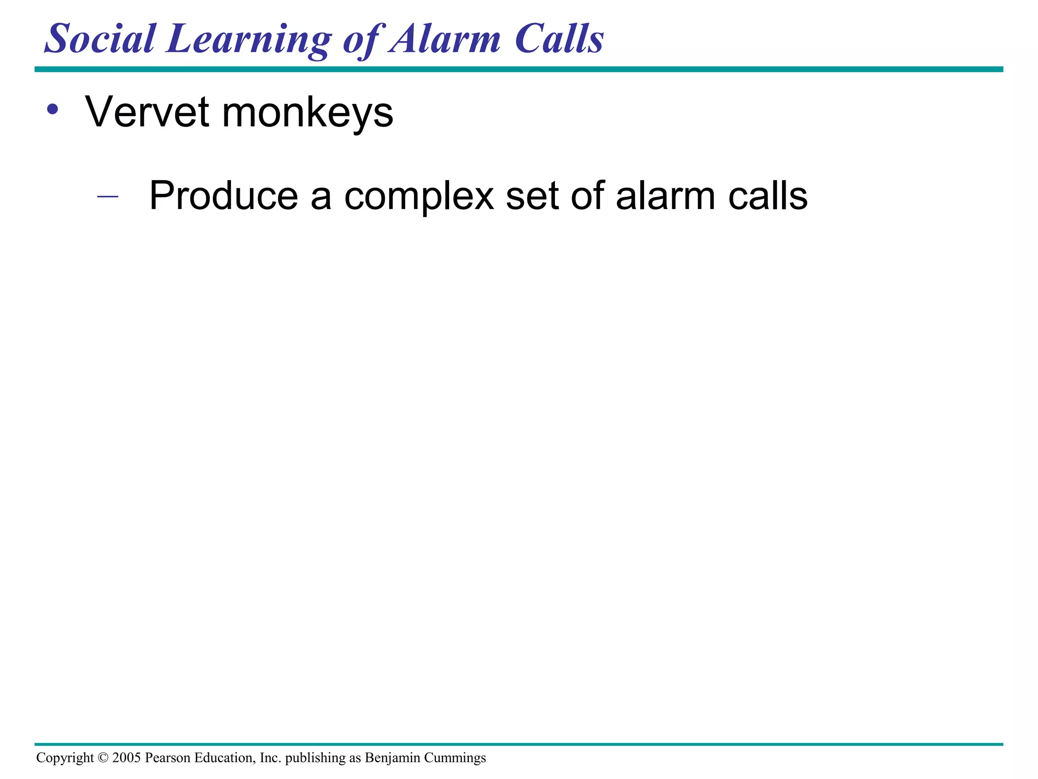 Copyright © 2005 Pearson Education, Inc. publishing as Benjamin Cummings
Social Learning of Alarm Calls
• Vervet monkeys
– Produce a complex set of alarm calls
 