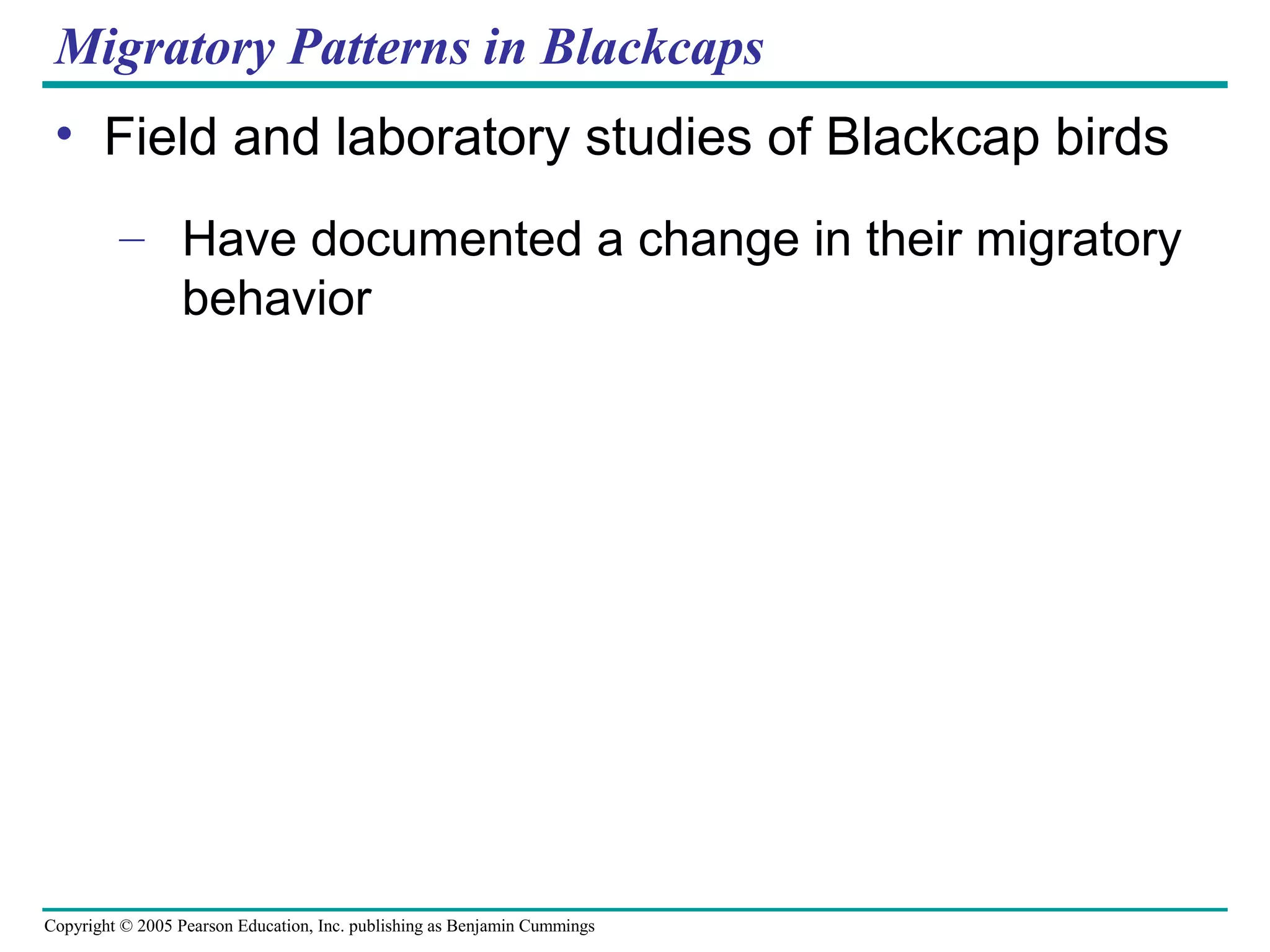 Copyright © 2005 Pearson Education, Inc. publishing as Benjamin Cummings
Migratory Patterns in Blackcaps
• Field and laboratory studies of Blackcap birds
– Have documented a change in their migratory
behavior
 