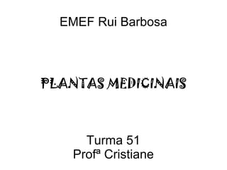Turma 51
Profª Cristiane
PLANTAS MEDICINAIS
EMEF Rui Barbosa
 