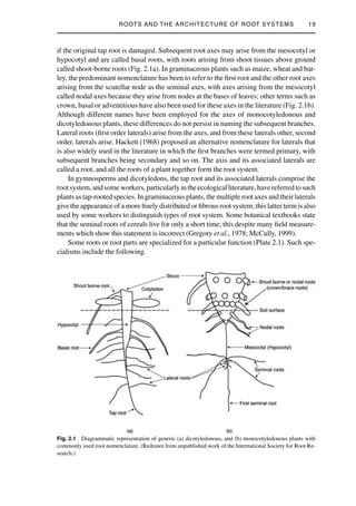 Plant Roots Growth Activity And Interaction With Soils Peter J Gregory ...