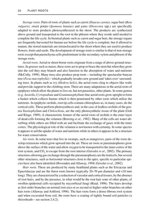 Plant Roots Growth Activity And Interaction With Soils Peter J Gregory ...