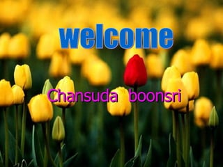 Chansuda  boonsri welcome 