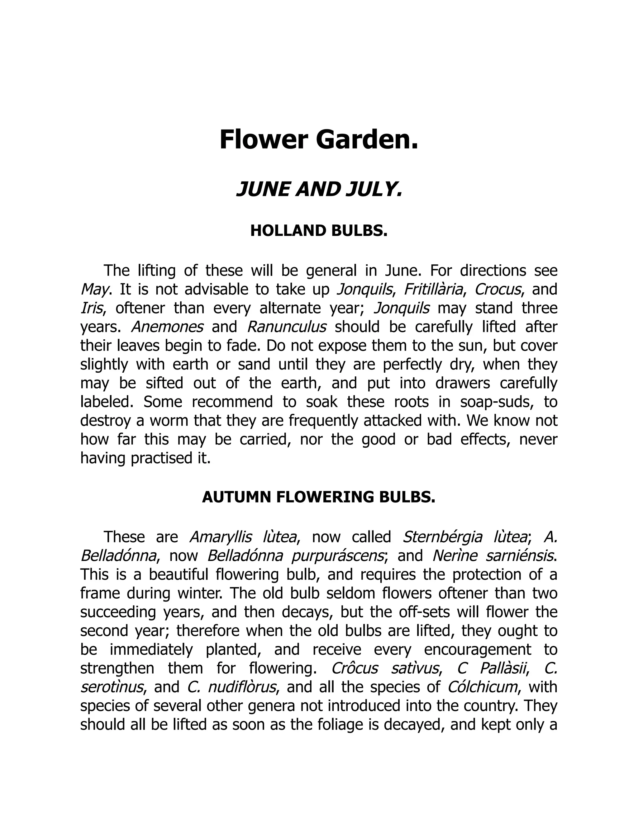 Flower Garden.
JUNE AND JULY.
HOLLAND BULBS.
The lifting of these will be general in June. For directions see
May. It is not advisable to take up Jonquils, Fritillària, Crocus, and
Iris, oftener than every alternate year; Jonquils may stand three
years. Anemones and Ranunculus should be carefully lifted after
their leaves begin to fade. Do not expose them to the sun, but cover
slightly with earth or sand until they are perfectly dry, when they
may be sifted out of the earth, and put into drawers carefully
labeled. Some recommend to soak these roots in soap-suds, to
destroy a worm that they are frequently attacked with. We know not
how far this may be carried, nor the good or bad effects, never
having practised it.
AUTUMN FLOWERING BULBS.
These are Amaryllis lùtea, now called Sternbérgia lùtea; A.
Belladónna, now Belladónna purpuráscens; and Nerìne sarniénsis.
This is a beautiful flowering bulb, and requires the protection of a
frame during winter. The old bulb seldom flowers oftener than two
succeeding years, and then decays, but the off-sets will flower the
second year; therefore when the old bulbs are lifted, they ought to
be immediately planted, and receive every encouragement to
strengthen them for flowering. Crôcus satìvus, C Pallàsii, C.
serotìnus, and C. nudiflòrus, and all the species of Cólchicum, with
species of several other genera not introduced into the country. They
should all be lifted as soon as the foliage is decayed, and kept only a
 