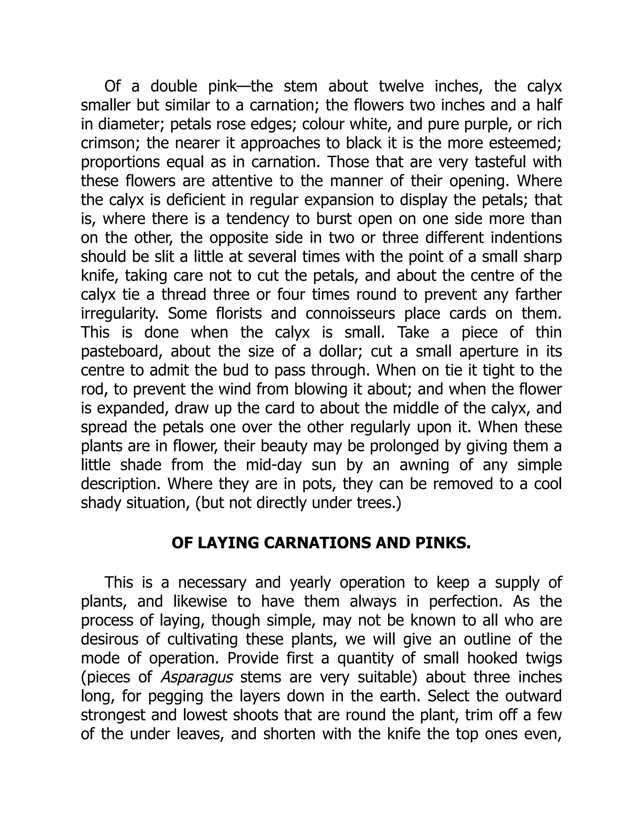 Of a double pink—the stem about twelve inches, the calyx
smaller but similar to a carnation; the flowers two inches and a half
in diameter; petals rose edges; colour white, and pure purple, or rich
crimson; the nearer it approaches to black it is the more esteemed;
proportions equal as in carnation. Those that are very tasteful with
these flowers are attentive to the manner of their opening. Where
the calyx is deficient in regular expansion to display the petals; that
is, where there is a tendency to burst open on one side more than
on the other, the opposite side in two or three different indentions
should be slit a little at several times with the point of a small sharp
knife, taking care not to cut the petals, and about the centre of the
calyx tie a thread three or four times round to prevent any farther
irregularity. Some florists and connoisseurs place cards on them.
This is done when the calyx is small. Take a piece of thin
pasteboard, about the size of a dollar; cut a small aperture in its
centre to admit the bud to pass through. When on tie it tight to the
rod, to prevent the wind from blowing it about; and when the flower
is expanded, draw up the card to about the middle of the calyx, and
spread the petals one over the other regularly upon it. When these
plants are in flower, their beauty may be prolonged by giving them a
little shade from the mid-day sun by an awning of any simple
description. Where they are in pots, they can be removed to a cool
shady situation, (but not directly under trees.)
OF LAYING CARNATIONS AND PINKS.
This is a necessary and yearly operation to keep a supply of
plants, and likewise to have them always in perfection. As the
process of laying, though simple, may not be known to all who are
desirous of cultivating these plants, we will give an outline of the
mode of operation. Provide first a quantity of small hooked twigs
(pieces of Asparagus stems are very suitable) about three inches
long, for pegging the layers down in the earth. Select the outward
strongest and lowest shoots that are round the plant, trim off a few
of the under leaves, and shorten with the knife the top ones even,
 