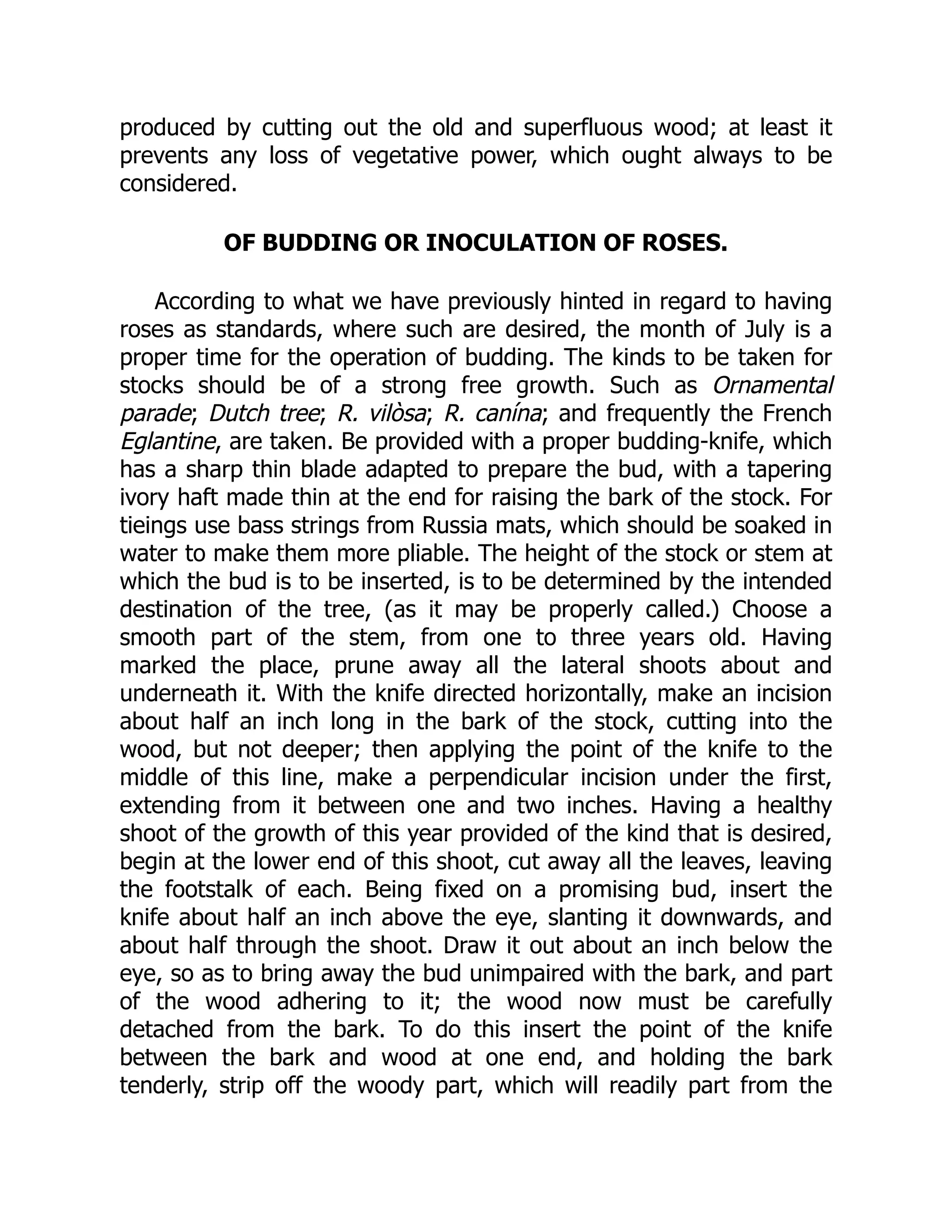 produced by cutting out the old and superfluous wood; at least it
prevents any loss of vegetative power, which ought always to be
considered.
OF BUDDING OR INOCULATION OF ROSES.
According to what we have previously hinted in regard to having
roses as standards, where such are desired, the month of July is a
proper time for the operation of budding. The kinds to be taken for
stocks should be of a strong free growth. Such as Ornamental
parade; Dutch tree; R. vilòsa; R. canína; and frequently the French
Eglantine, are taken. Be provided with a proper budding-knife, which
has a sharp thin blade adapted to prepare the bud, with a tapering
ivory haft made thin at the end for raising the bark of the stock. For
tieings use bass strings from Russia mats, which should be soaked in
water to make them more pliable. The height of the stock or stem at
which the bud is to be inserted, is to be determined by the intended
destination of the tree, (as it may be properly called.) Choose a
smooth part of the stem, from one to three years old. Having
marked the place, prune away all the lateral shoots about and
underneath it. With the knife directed horizontally, make an incision
about half an inch long in the bark of the stock, cutting into the
wood, but not deeper; then applying the point of the knife to the
middle of this line, make a perpendicular incision under the first,
extending from it between one and two inches. Having a healthy
shoot of the growth of this year provided of the kind that is desired,
begin at the lower end of this shoot, cut away all the leaves, leaving
the footstalk of each. Being fixed on a promising bud, insert the
knife about half an inch above the eye, slanting it downwards, and
about half through the shoot. Draw it out about an inch below the
eye, so as to bring away the bud unimpaired with the bark, and part
of the wood adhering to it; the wood now must be carefully
detached from the bark. To do this insert the point of the knife
between the bark and wood at one end, and holding the bark
tenderly, strip off the woody part, which will readily part from the
 