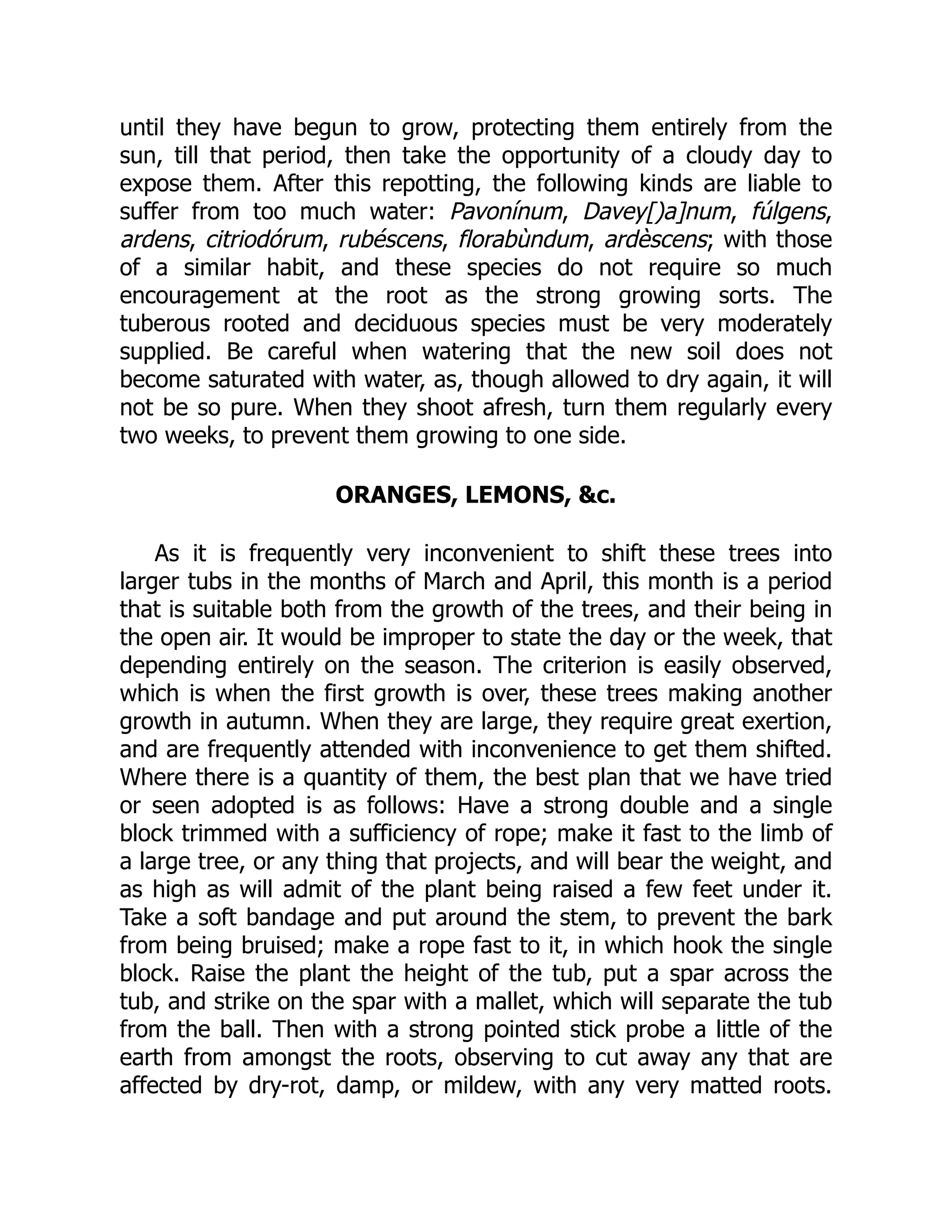 until they have begun to grow, protecting them entirely from the
sun, till that period, then take the opportunity of a cloudy day to
expose them. After this repotting, the following kinds are liable to
suffer from too much water: Pavonínum, Davey[)a]num, fúlgens,
ardens, citriodórum, rubéscens, florabùndum, ardèscens; with those
of a similar habit, and these species do not require so much
encouragement at the root as the strong growing sorts. The
tuberous rooted and deciduous species must be very moderately
supplied. Be careful when watering that the new soil does not
become saturated with water, as, though allowed to dry again, it will
not be so pure. When they shoot afresh, turn them regularly every
two weeks, to prevent them growing to one side.
ORANGES, LEMONS, &c.
As it is frequently very inconvenient to shift these trees into
larger tubs in the months of March and April, this month is a period
that is suitable both from the growth of the trees, and their being in
the open air. It would be improper to state the day or the week, that
depending entirely on the season. The criterion is easily observed,
which is when the first growth is over, these trees making another
growth in autumn. When they are large, they require great exertion,
and are frequently attended with inconvenience to get them shifted.
Where there is a quantity of them, the best plan that we have tried
or seen adopted is as follows: Have a strong double and a single
block trimmed with a sufficiency of rope; make it fast to the limb of
a large tree, or any thing that projects, and will bear the weight, and
as high as will admit of the plant being raised a few feet under it.
Take a soft bandage and put around the stem, to prevent the bark
from being bruised; make a rope fast to it, in which hook the single
block. Raise the plant the height of the tub, put a spar across the
tub, and strike on the spar with a mallet, which will separate the tub
from the ball. Then with a strong pointed stick probe a little of the
earth from amongst the roots, observing to cut away any that are
affected by dry-rot, damp, or mildew, with any very matted roots.
 