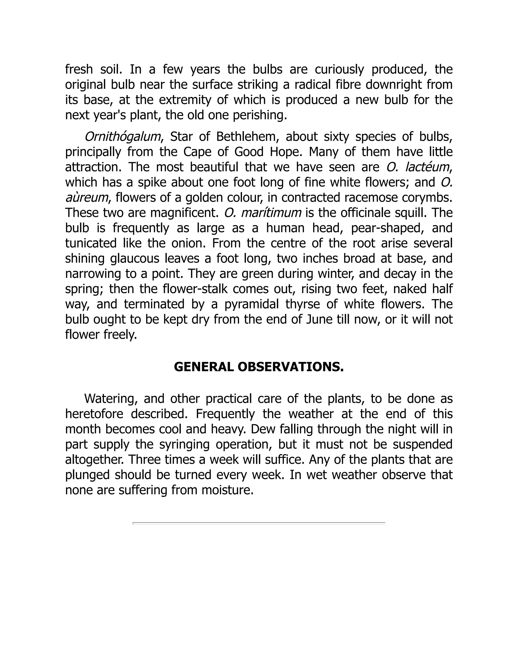 fresh soil. In a few years the bulbs are curiously produced, the
original bulb near the surface striking a radical fibre downright from
its base, at the extremity of which is produced a new bulb for the
next year's plant, the old one perishing.
Ornithógalum, Star of Bethlehem, about sixty species of bulbs,
principally from the Cape of Good Hope. Many of them have little
attraction. The most beautiful that we have seen are O. lactéum,
which has a spike about one foot long of fine white flowers; and O.
aùreum, flowers of a golden colour, in contracted racemose corymbs.
These two are magnificent. O. marítimum is the officinale squill. The
bulb is frequently as large as a human head, pear-shaped, and
tunicated like the onion. From the centre of the root arise several
shining glaucous leaves a foot long, two inches broad at base, and
narrowing to a point. They are green during winter, and decay in the
spring; then the flower-stalk comes out, rising two feet, naked half
way, and terminated by a pyramidal thyrse of white flowers. The
bulb ought to be kept dry from the end of June till now, or it will not
flower freely.
GENERAL OBSERVATIONS.
Watering, and other practical care of the plants, to be done as
heretofore described. Frequently the weather at the end of this
month becomes cool and heavy. Dew falling through the night will in
part supply the syringing operation, but it must not be suspended
altogether. Three times a week will suffice. Any of the plants that are
plunged should be turned every week. In wet weather observe that
none are suffering from moisture.
 