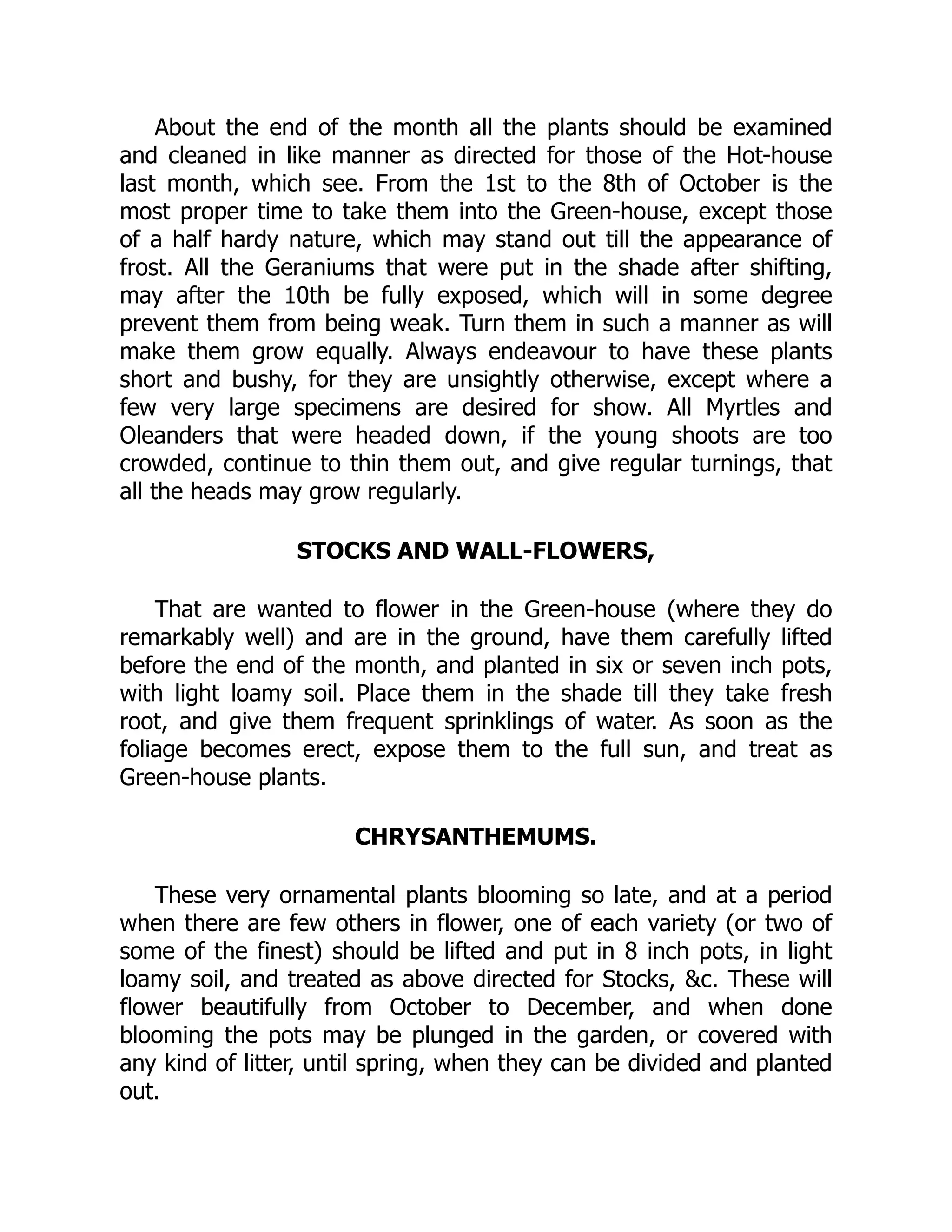 About the end of the month all the plants should be examined
and cleaned in like manner as directed for those of the Hot-house
last month, which see. From the 1st to the 8th of October is the
most proper time to take them into the Green-house, except those
of a half hardy nature, which may stand out till the appearance of
frost. All the Geraniums that were put in the shade after shifting,
may after the 10th be fully exposed, which will in some degree
prevent them from being weak. Turn them in such a manner as will
make them grow equally. Always endeavour to have these plants
short and bushy, for they are unsightly otherwise, except where a
few very large specimens are desired for show. All Myrtles and
Oleanders that were headed down, if the young shoots are too
crowded, continue to thin them out, and give regular turnings, that
all the heads may grow regularly.
STOCKS AND WALL-FLOWERS,
That are wanted to flower in the Green-house (where they do
remarkably well) and are in the ground, have them carefully lifted
before the end of the month, and planted in six or seven inch pots,
with light loamy soil. Place them in the shade till they take fresh
root, and give them frequent sprinklings of water. As soon as the
foliage becomes erect, expose them to the full sun, and treat as
Green-house plants.
CHRYSANTHEMUMS.
These very ornamental plants blooming so late, and at a period
when there are few others in flower, one of each variety (or two of
some of the finest) should be lifted and put in 8 inch pots, in light
loamy soil, and treated as above directed for Stocks, &c. These will
flower beautifully from October to December, and when done
blooming the pots may be plunged in the garden, or covered with
any kind of litter, until spring, when they can be divided and planted
out.
 