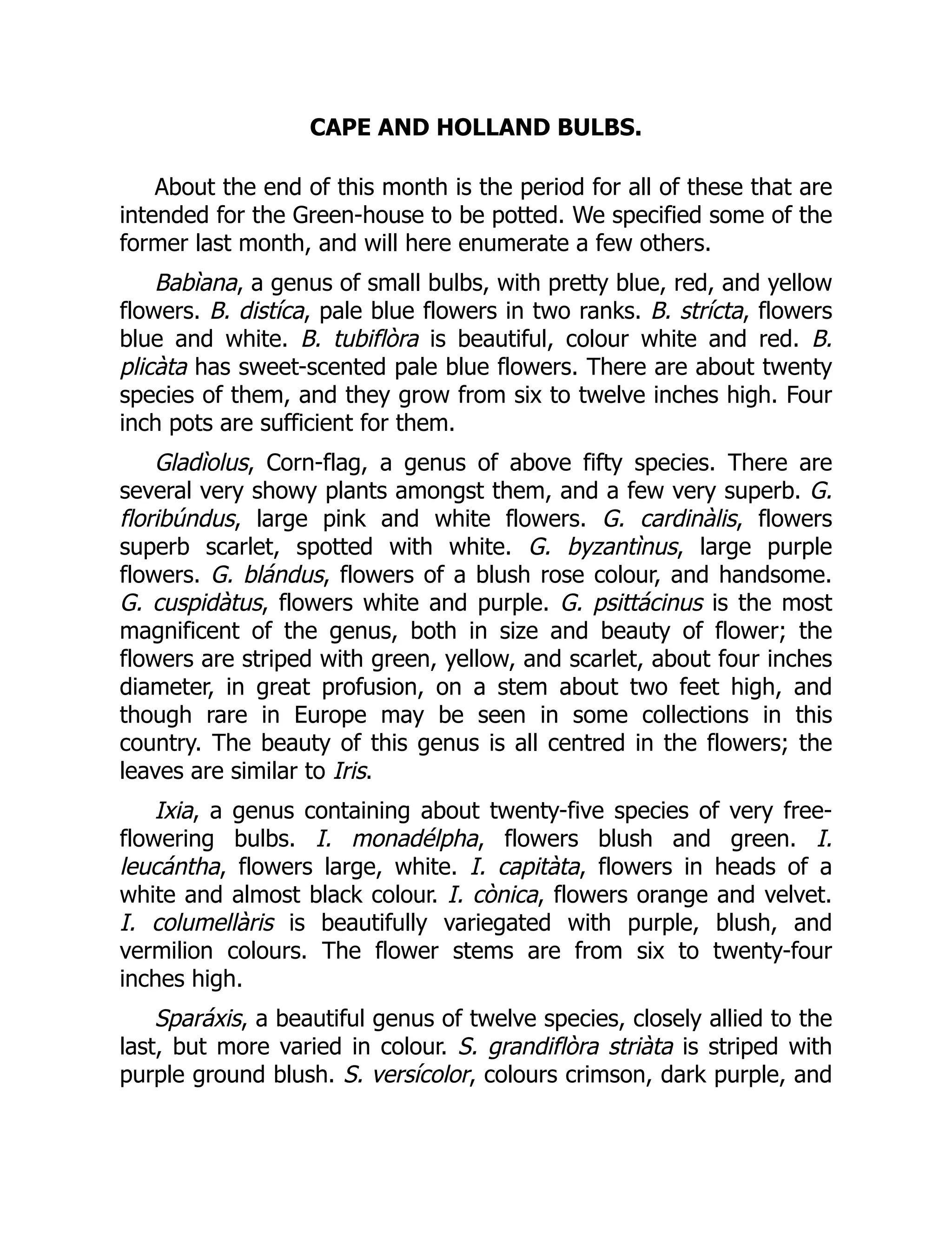 CAPE AND HOLLAND BULBS.
About the end of this month is the period for all of these that are
intended for the Green-house to be potted. We specified some of the
former last month, and will here enumerate a few others.
Babìana, a genus of small bulbs, with pretty blue, red, and yellow
flowers. B. distíca, pale blue flowers in two ranks. B. strícta, flowers
blue and white. B. tubiflòra is beautiful, colour white and red. B.
plicàta has sweet-scented pale blue flowers. There are about twenty
species of them, and they grow from six to twelve inches high. Four
inch pots are sufficient for them.
Gladìolus, Corn-flag, a genus of above fifty species. There are
several very showy plants amongst them, and a few very superb. G.
floribúndus, large pink and white flowers. G. cardinàlis, flowers
superb scarlet, spotted with white. G. byzantìnus, large purple
flowers. G. blándus, flowers of a blush rose colour, and handsome.
G. cuspidàtus, flowers white and purple. G. psittácinus is the most
magnificent of the genus, both in size and beauty of flower; the
flowers are striped with green, yellow, and scarlet, about four inches
diameter, in great profusion, on a stem about two feet high, and
though rare in Europe may be seen in some collections in this
country. The beauty of this genus is all centred in the flowers; the
leaves are similar to Iris.
Ixia, a genus containing about twenty-five species of very free-
flowering bulbs. I. monadélpha, flowers blush and green. I.
leucántha, flowers large, white. I. capitàta, flowers in heads of a
white and almost black colour. I. cònica, flowers orange and velvet.
I. columellàris is beautifully variegated with purple, blush, and
vermilion colours. The flower stems are from six to twenty-four
inches high.
Sparáxis, a beautiful genus of twelve species, closely allied to the
last, but more varied in colour. S. grandiflòra striàta is striped with
purple ground blush. S. versícolor, colours crimson, dark purple, and
 