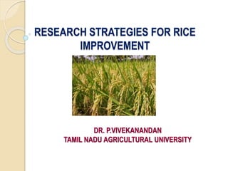 RESEARCH STRATEGIES FOR RICE
IMPROVEMENT
DR. P.VIVEKANANDAN
TAMIL NADU AGRICULTURAL UNIVERSITY
 
