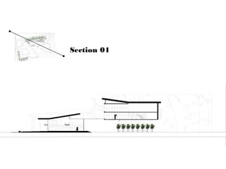 Section 01
 