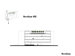 Section
Section 02
 
