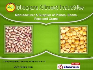 Manufacturer & Supplier of Pulses, Beans,
            Peas and Grams
 